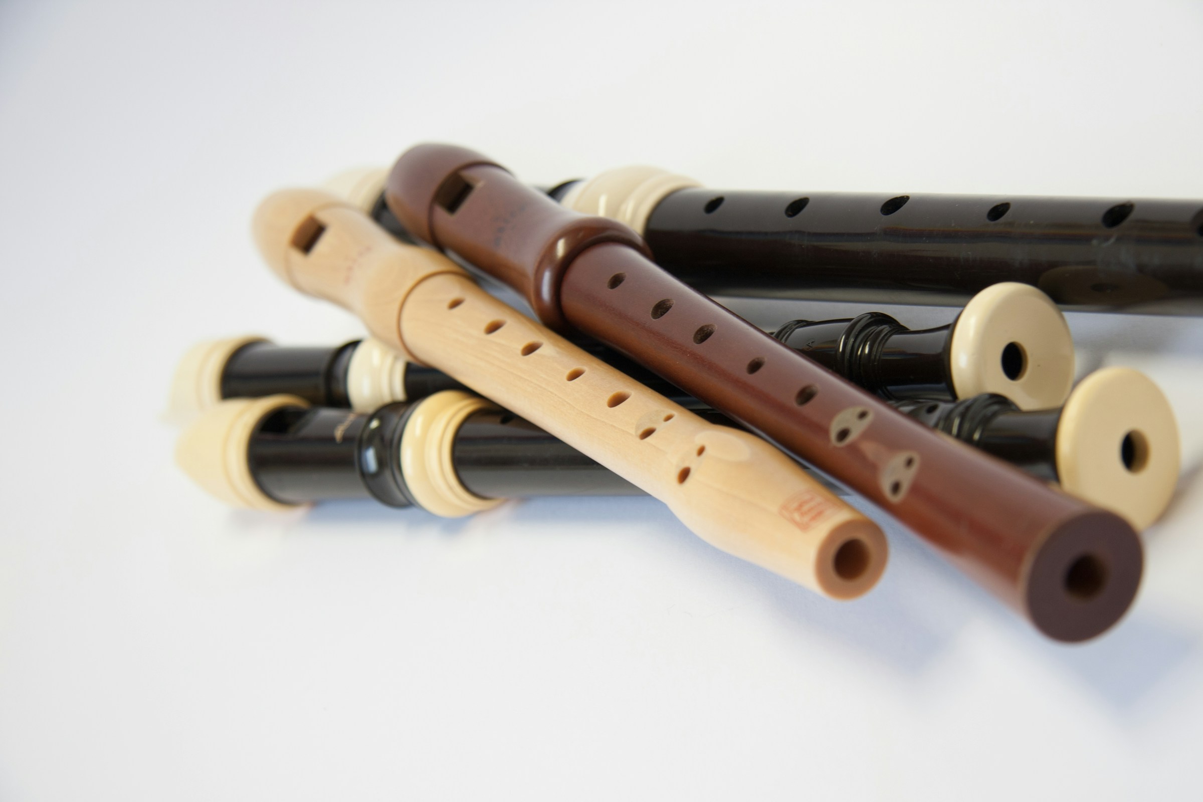 Recorder orchestra workshop