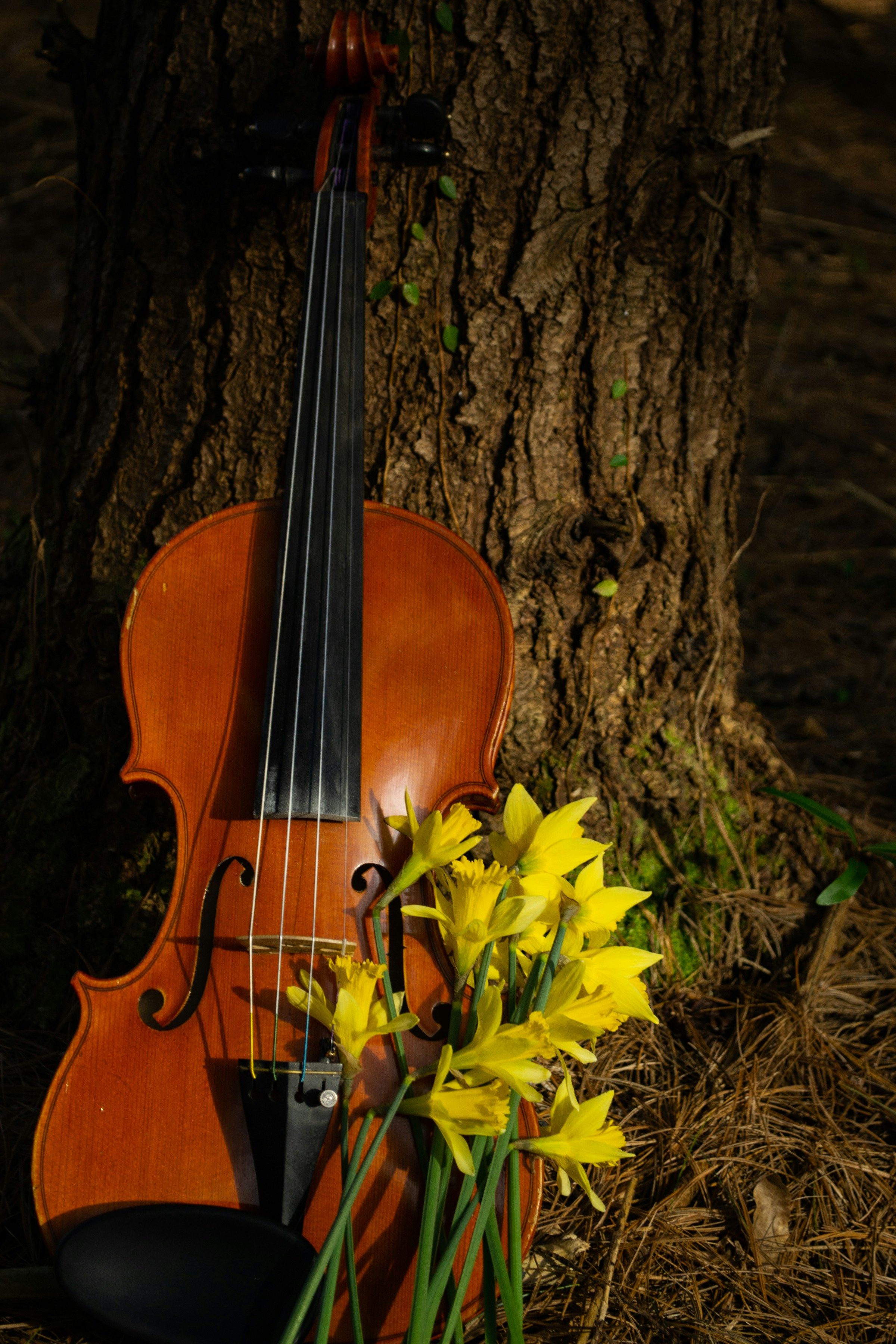 Spring Concert